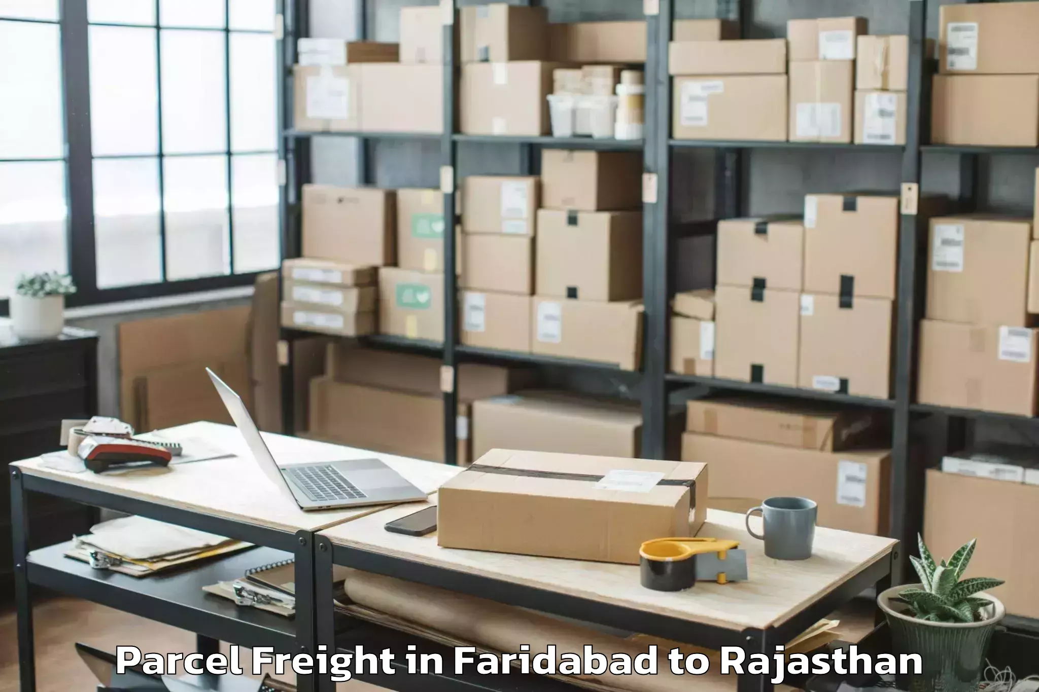 Expert Faridabad to Lakheri Parcel Freight